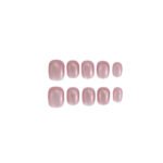 37-2.jpg Rose Shell
