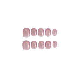 Rose Shell