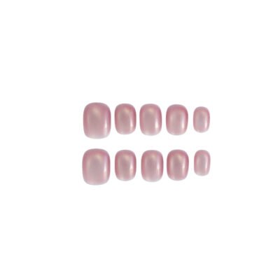 Rose Shell