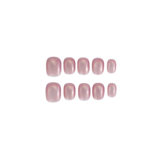 Rose Shell