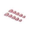 Rose Shell