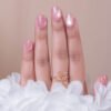 Rose Shell